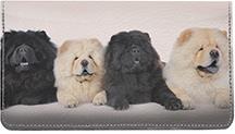 Chow Chow Pals