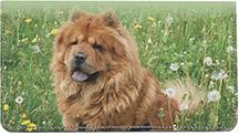 Chow Chow On The Grass