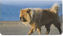 Chow Chow On The Move