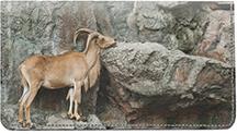 Mountain Goats