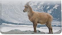 Goats In The Snow