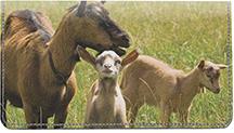 Mother Goat And Kids