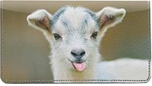 Kid Goats