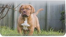 French Mastiff Pups