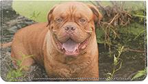 French Mastiff