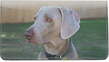 Classic Weimaraners