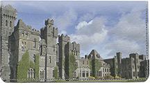Irish Castles