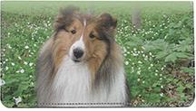 Lovely Shelties