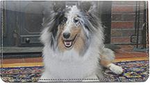 Motley Sheltie