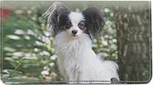 Posing Papillons