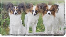 Papillon Pals