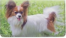 Outdoor Papillons