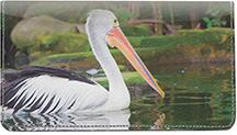 Pelicans