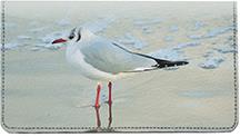 Seagulls