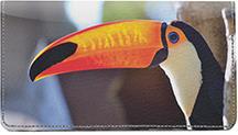 Toucans
