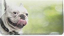 White French Bulldogs
