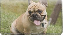Tan French Bulldogs
