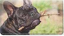 Black French Bulldogs