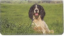 Lovable Springers