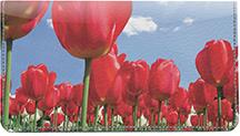 Red Tulips