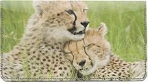 Cheetah Cubs