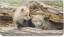 Red Fox Kits