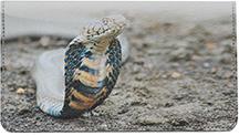 Cobras