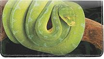 Green Snakes