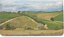 Tuscan Vineyard