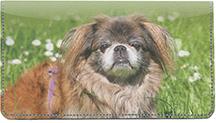 Lovely Pekingese