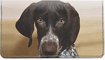German Shorthaired Pointers
