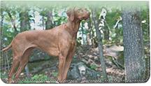 Vizslas On The Hunt