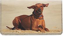 Rhodesian Ridgebacks