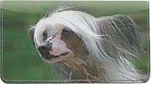 Chinese Crested