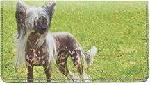 Chinese Crested On The Grass