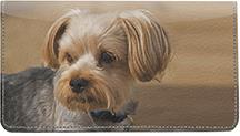 Cute Lhasa Apsos