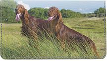 Irish Setters Outdoors