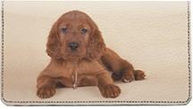 Irish Setter Pups
