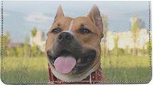 American Staffordshire Outdoors