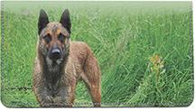 Belgian Malinois At The River