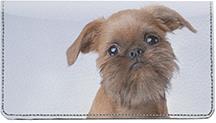 Brussels Griffon