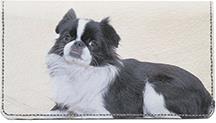 Japanese Chin