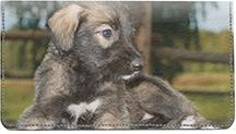 Irish Wolfhounds