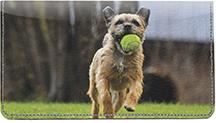 Playful Border Terriers