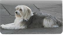 Old English Sheepdogs