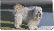 Tibetan Terriers