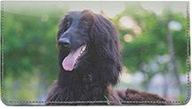 Black Afghan Hounds
