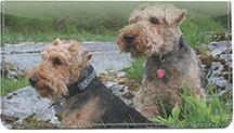 Welsh Terriers
