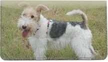 Wire Fox Terriers