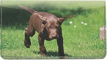 Pointer Puppies